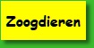 Zoogdieren