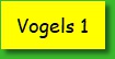 Vogels 1